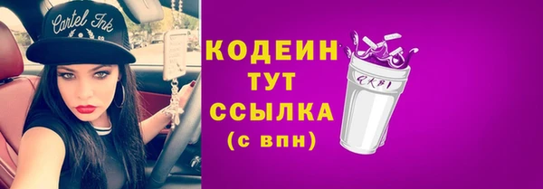 гашик Арсеньев